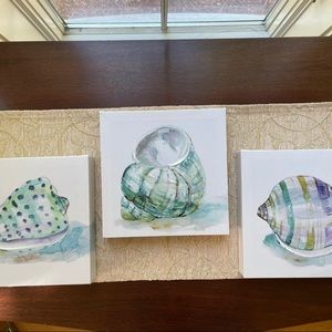 3 Shell Prints on Nylon Canvas